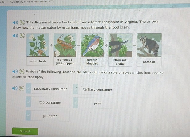 R 3 Identify roles in food chains CTO (x) | StudyX