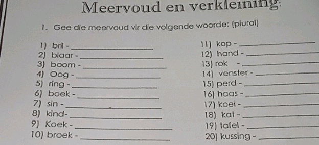 Meervoud en verkleining 1 Gee die mearvoud | StudyX