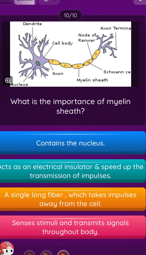 10 / 10 What is the importance of myelin | StudyX