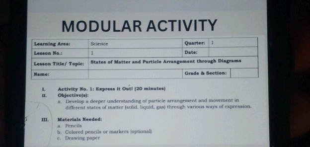 MODULAR ACTIVITY Learning Area Science | StudyX