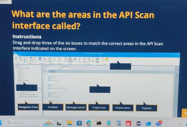 What are the areas in the API Scan interface