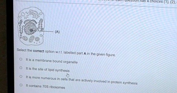 (1) (2) Select the correct option wrt | StudyX