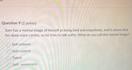 Sam 9 Point Pdf Question 9 (2 points) Sam has a mental image