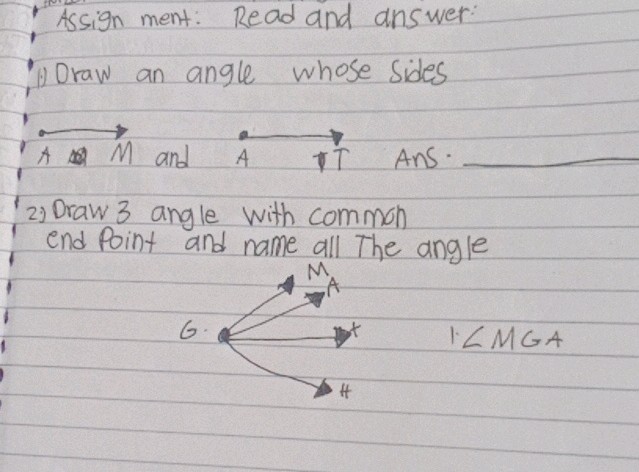 Assign ment Read and answer Draw an angle | StudyX
