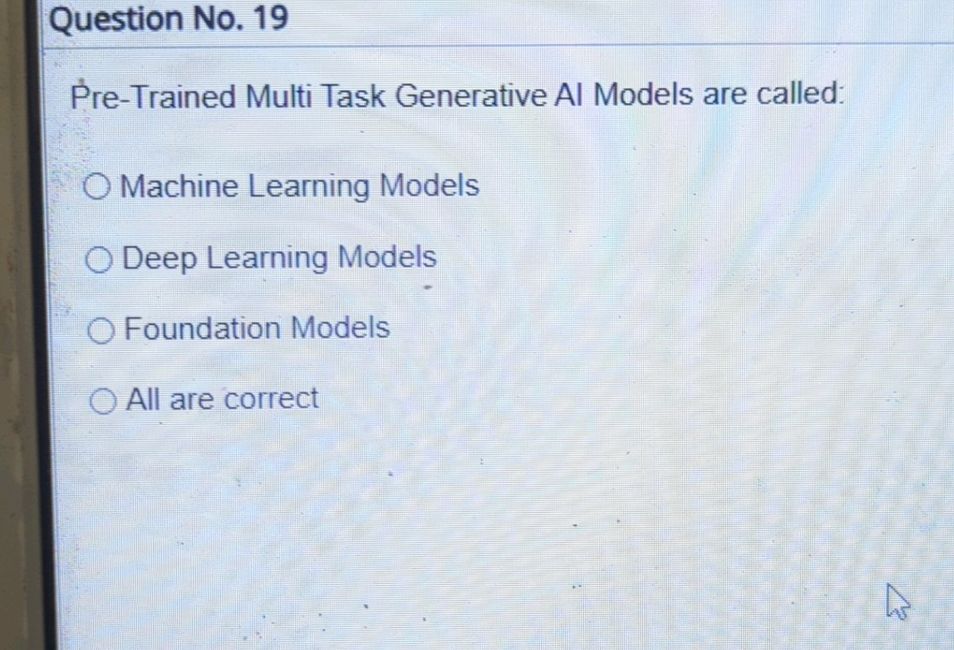 Question No 19 Pre-Trained Multi Task | StudyX