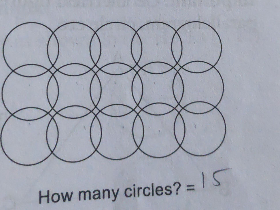 Counting Circles: How many circles are there?