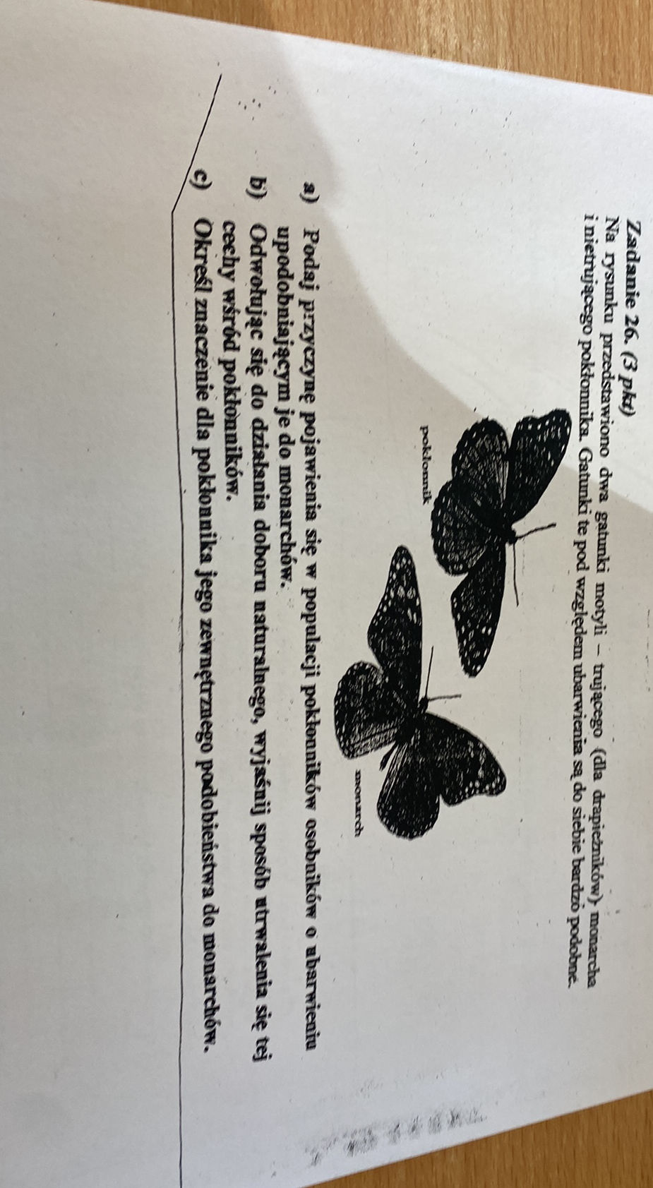 Na Rysunku A Przedstawiono Siewki Gorczycy studyx.ai