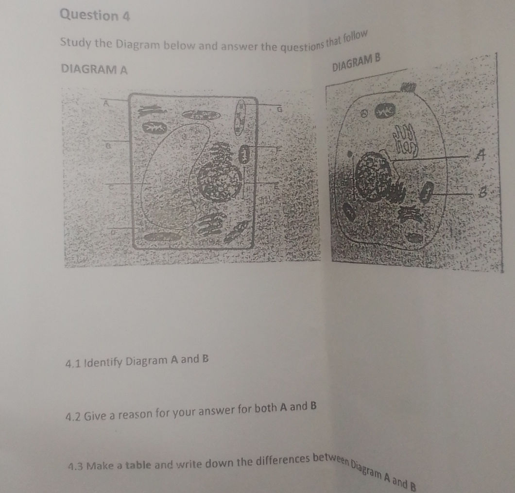 Question 4 Study the Diagram below and | StudyX