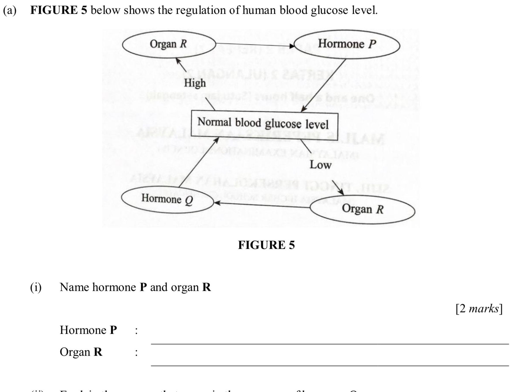 (a) FIGURE 5 below shows the regulation of | StudyX
