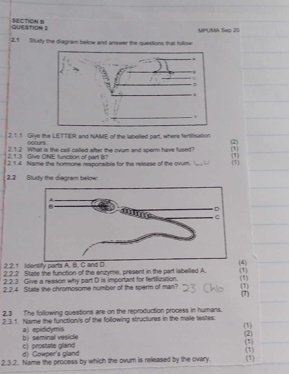 2.1 Study the diagram below and answer the | StudyX