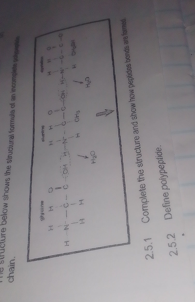 Peptide Structure Examples The structure below shows the structural