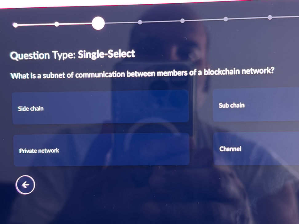 What is a subnet of communication between | StudyX