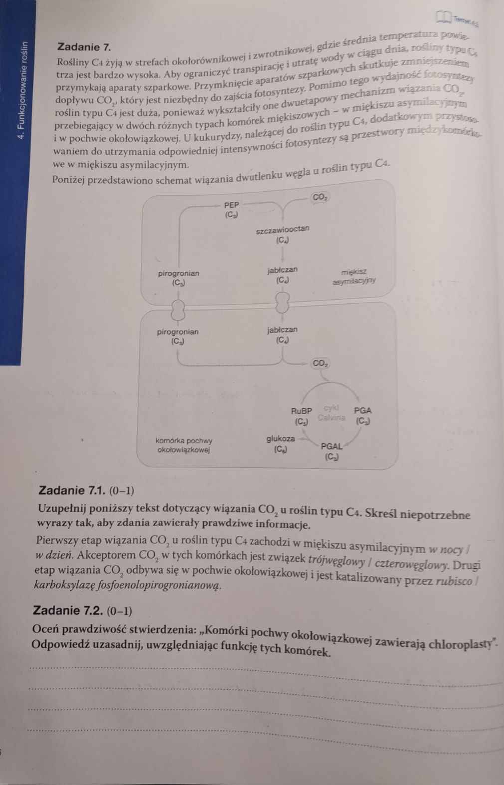 Poniżej przedstawiono schemat wiązania | StudyX