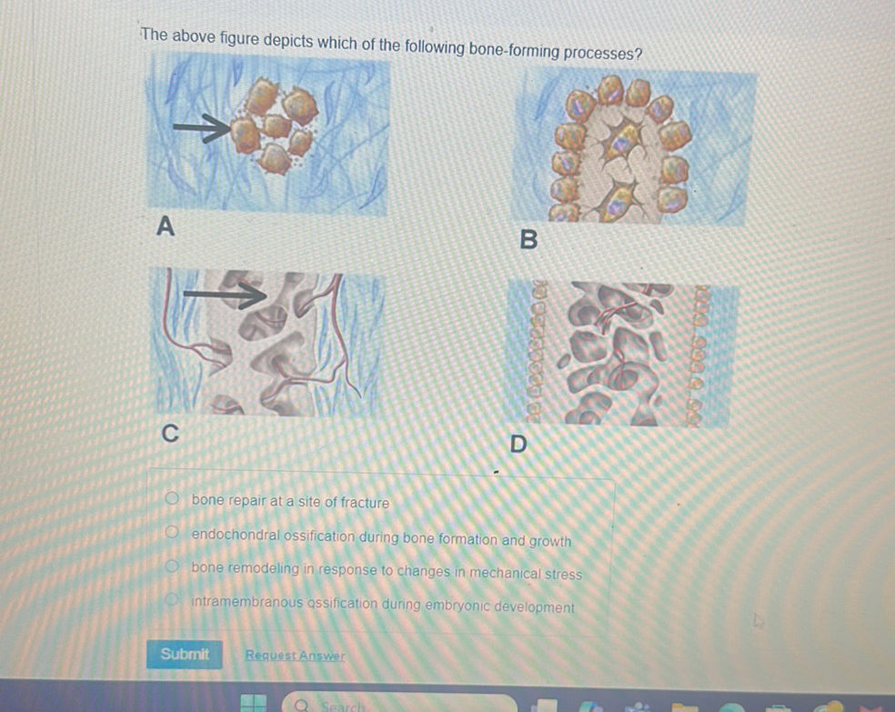 The above figure depicts which of the | StudyX