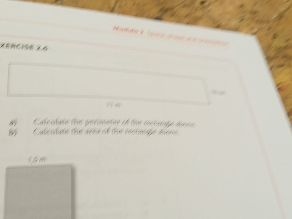 a) Calculate the perimeter of the rectangle | StudyX