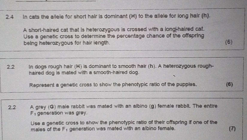 2.4 In cats the allele for short hair is
