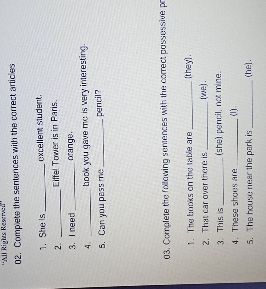 Complete Using Correct Article 02. Complete the sentences with the correct | StudyX