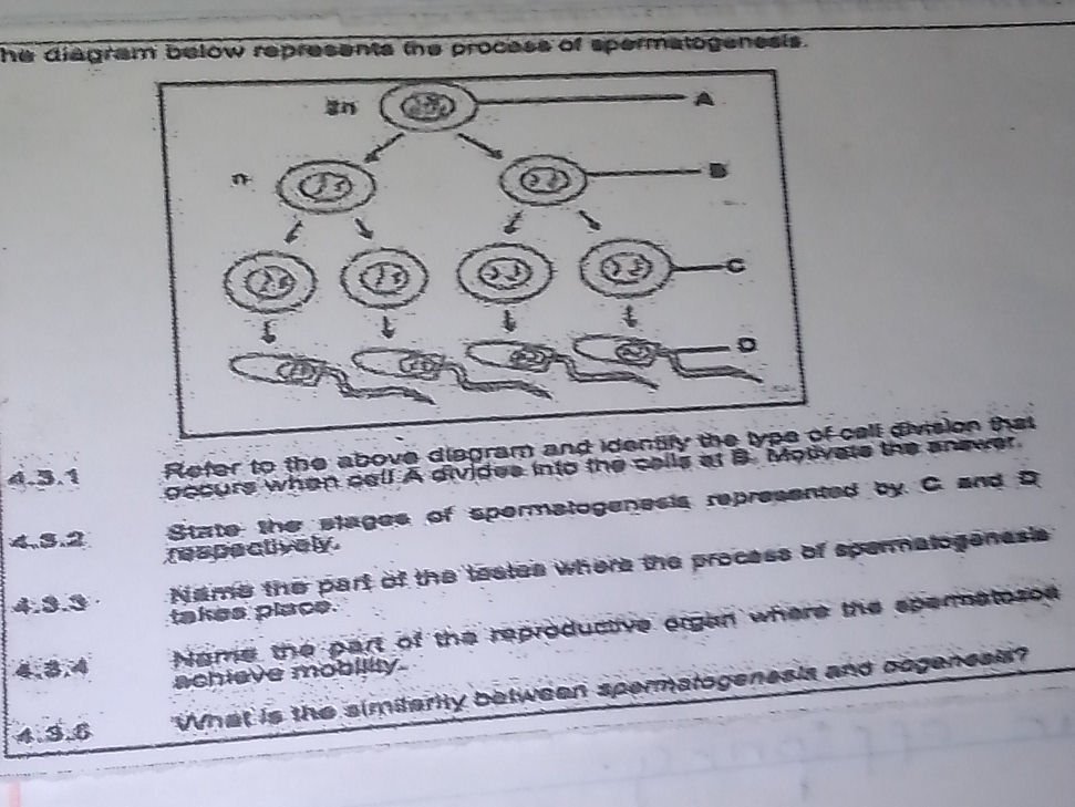 4.3.1 Refer to the above diagram and | StudyX