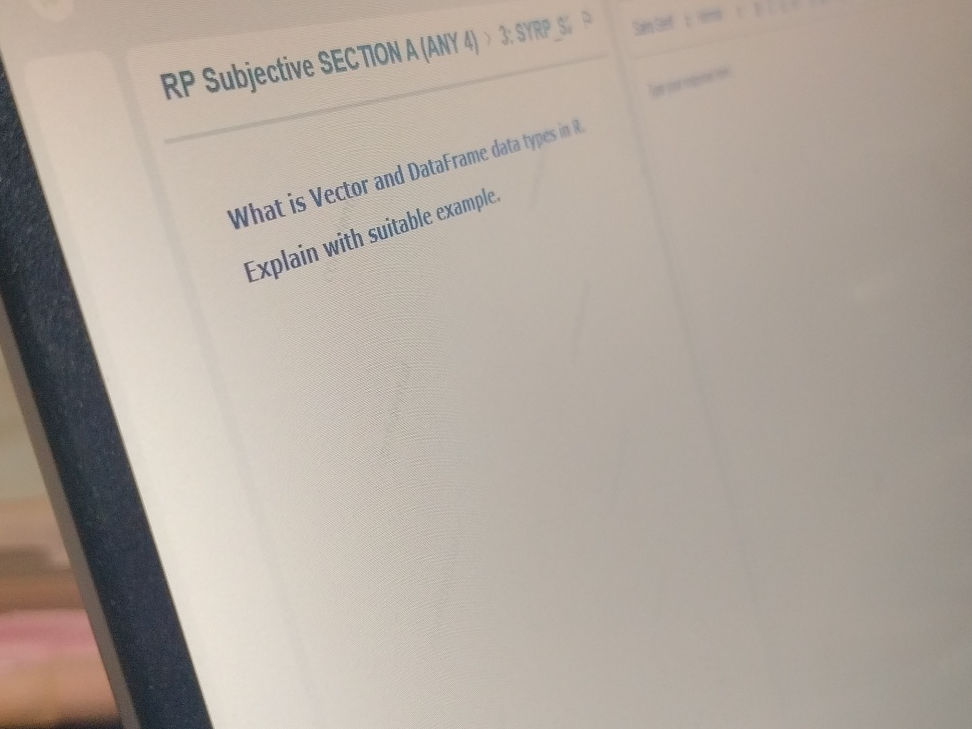 what-is-vector-and-dataframe-data-types-in-studyx