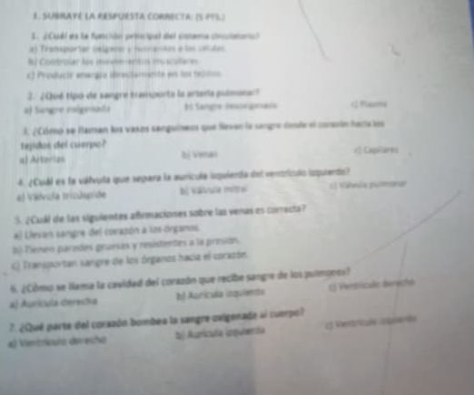 SUBRAYE LA RESPUESTA CORRECTA (5 PTL) 2.