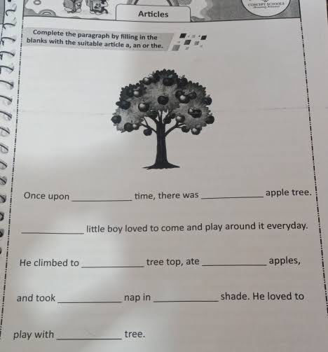 Complete the paragraph by filling in the | StudyX
