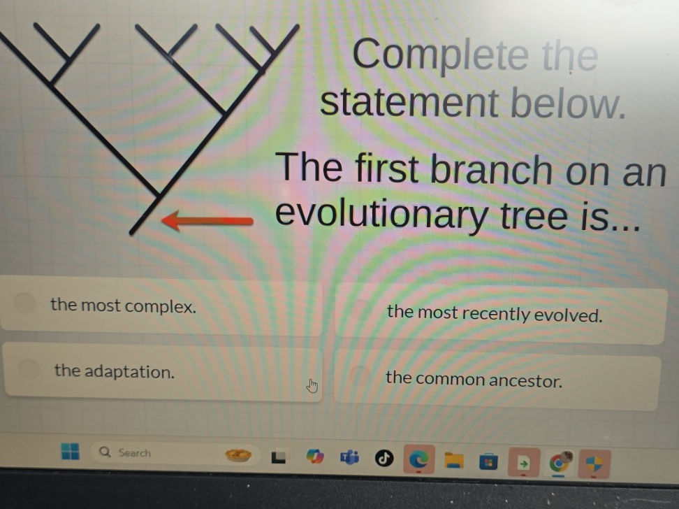 Complete the statement below. The first | StudyX