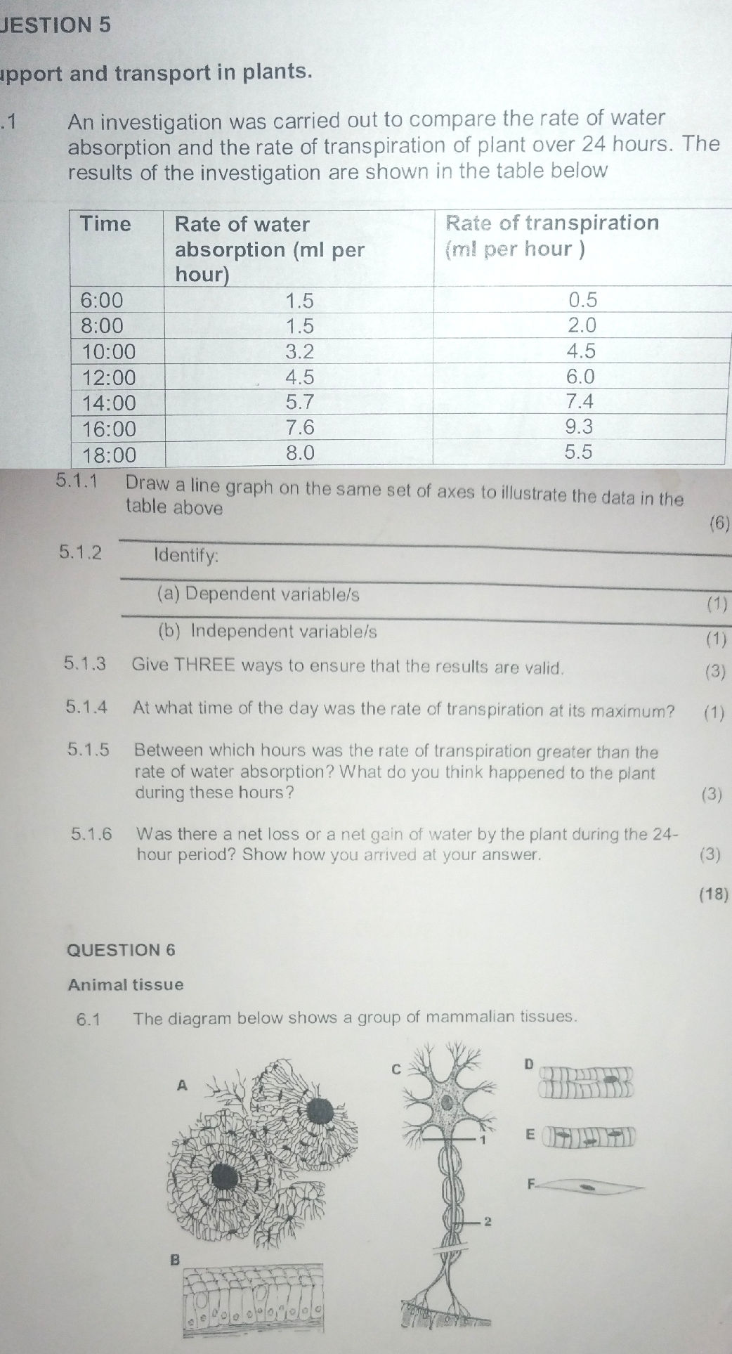 An investigation was carried out to compare