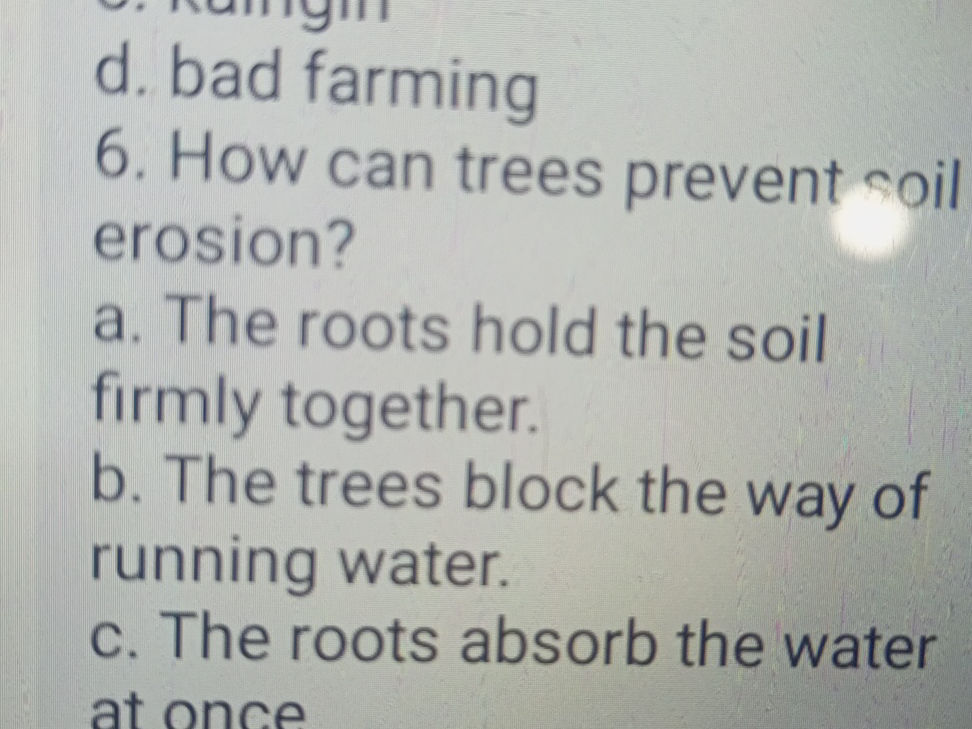 6. How can trees prevent soil erosion? a. | StudyX
