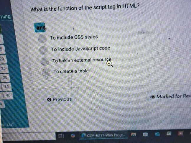 What is the function of the script tag in | StudyX