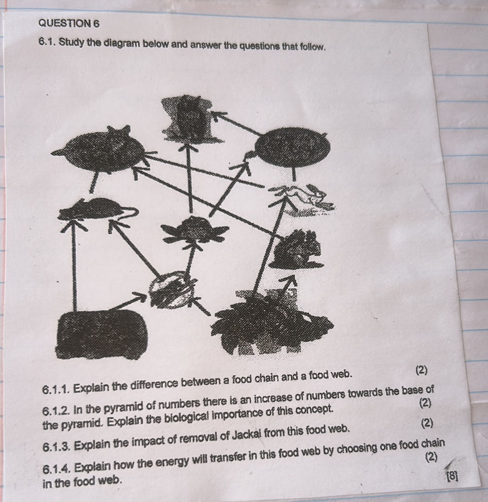 QUESTION 6 6.1. Study the diagram below and | StudyX