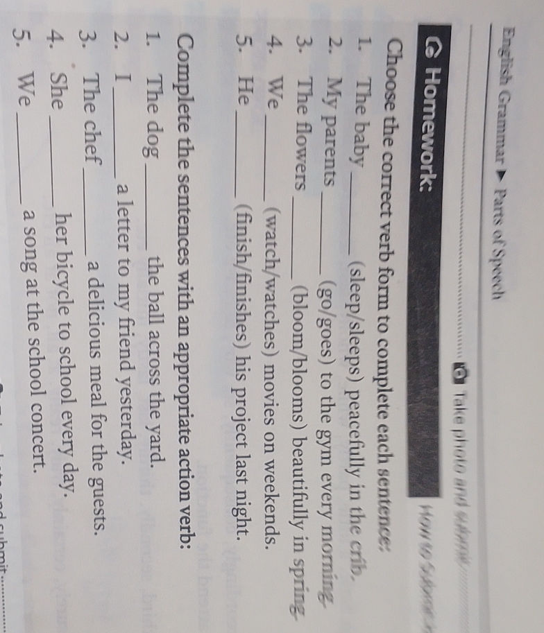 Choose the correct verb form to complete | StudyX