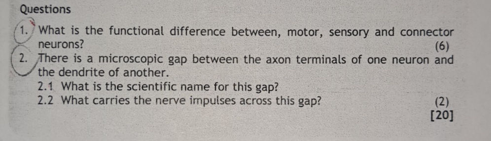1. What is the functional difference | StudyX