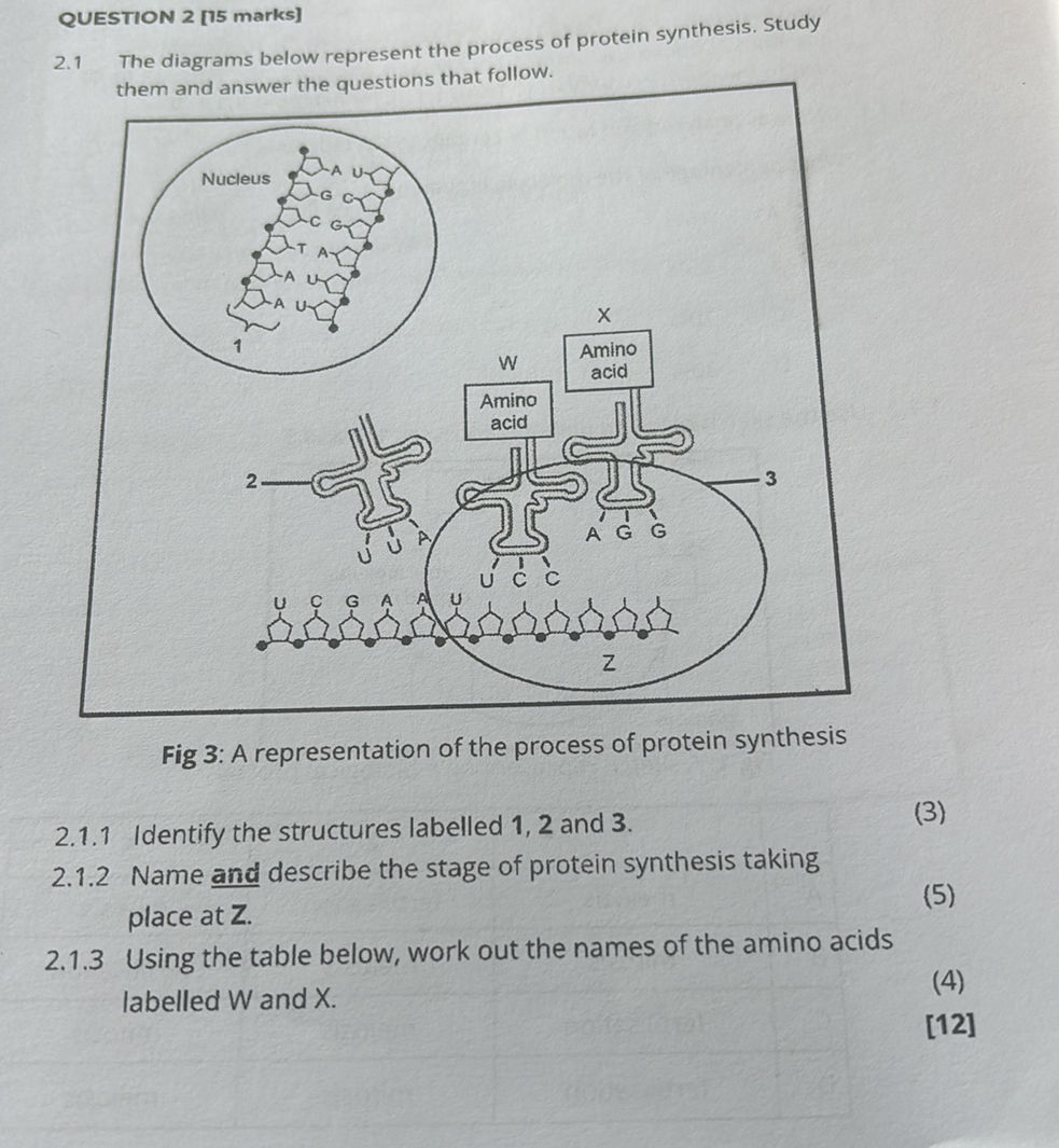 2.1 The diagrams below represent the process | StudyX
