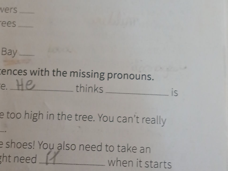Fill in the sentences with the missing | StudyX