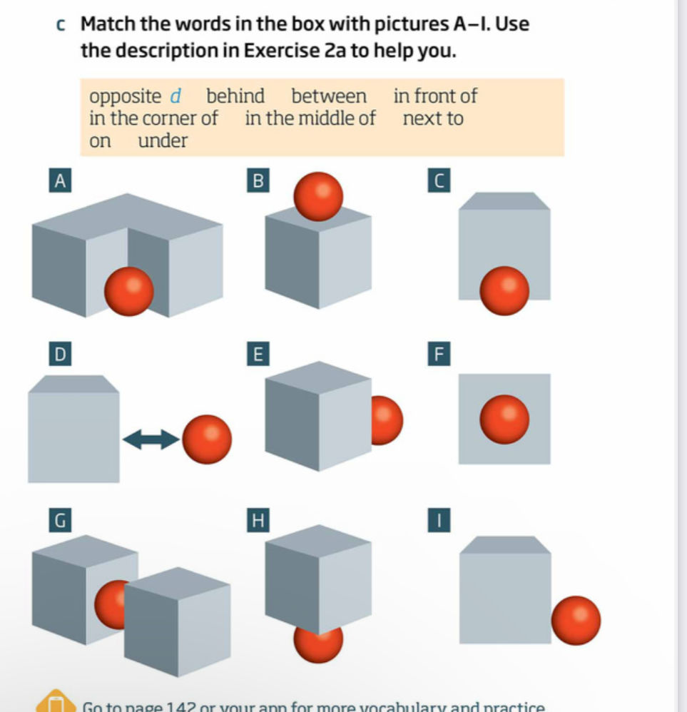 c Match the words in the box with pictures | StudyX