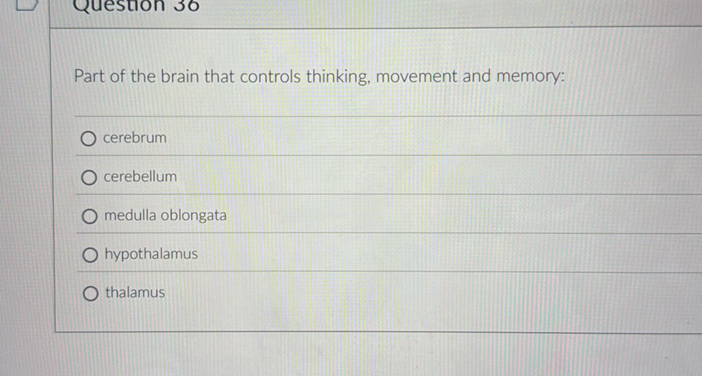 Part of the brain that controls thinking, | StudyX