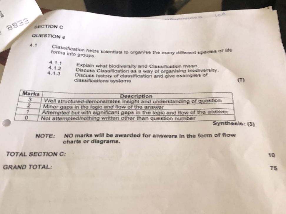 SECTION C QUESTION 4 4.1 Classification | StudyX