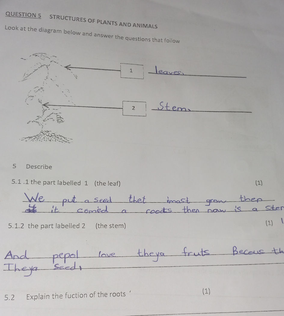 QUESTION 5 STRUCTURES OF PLANTS AND ANIMALS | StudyX