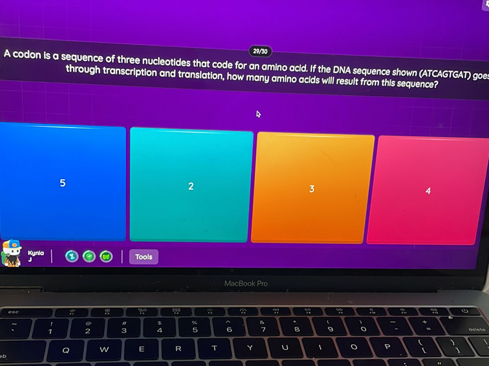 Codon App A codon is a sequence of three nucleotides | StudyX