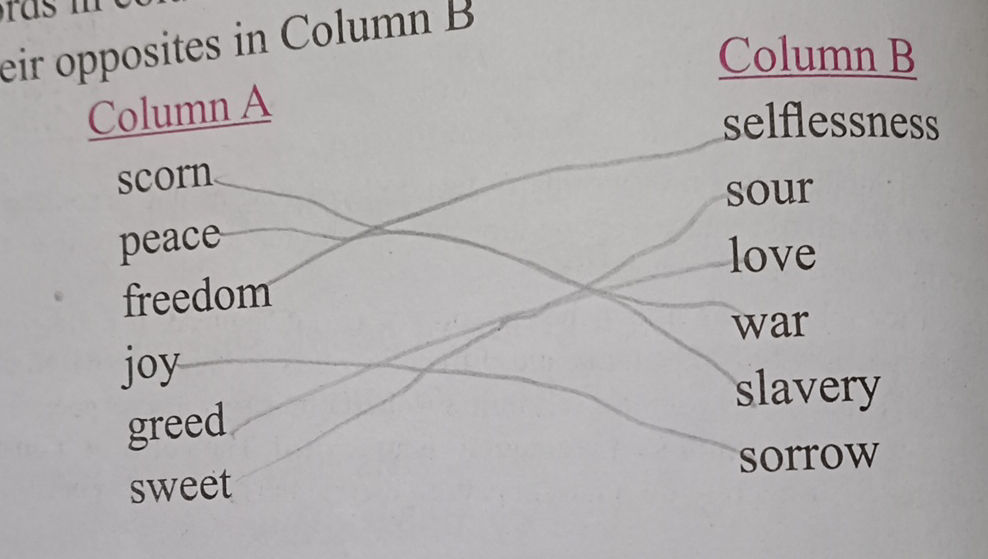 Match the words in Column A with their | StudyX