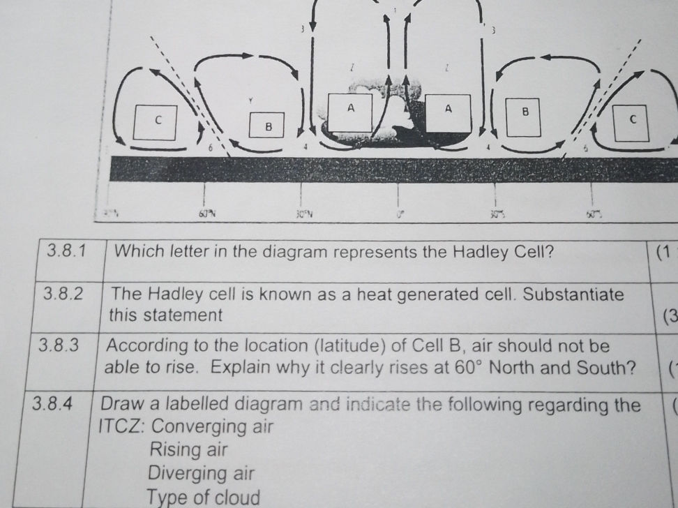 3.8.1 Which letter in the diagram represents | StudyX