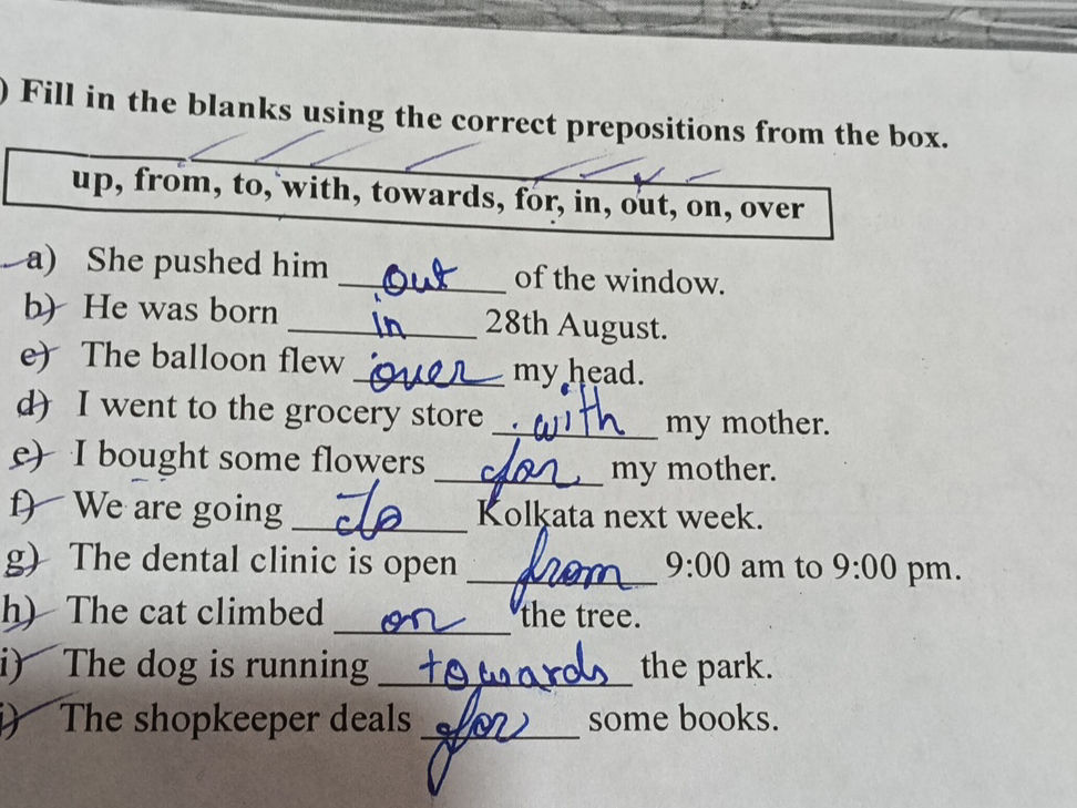 Fill in the blanks using the correct | StudyX