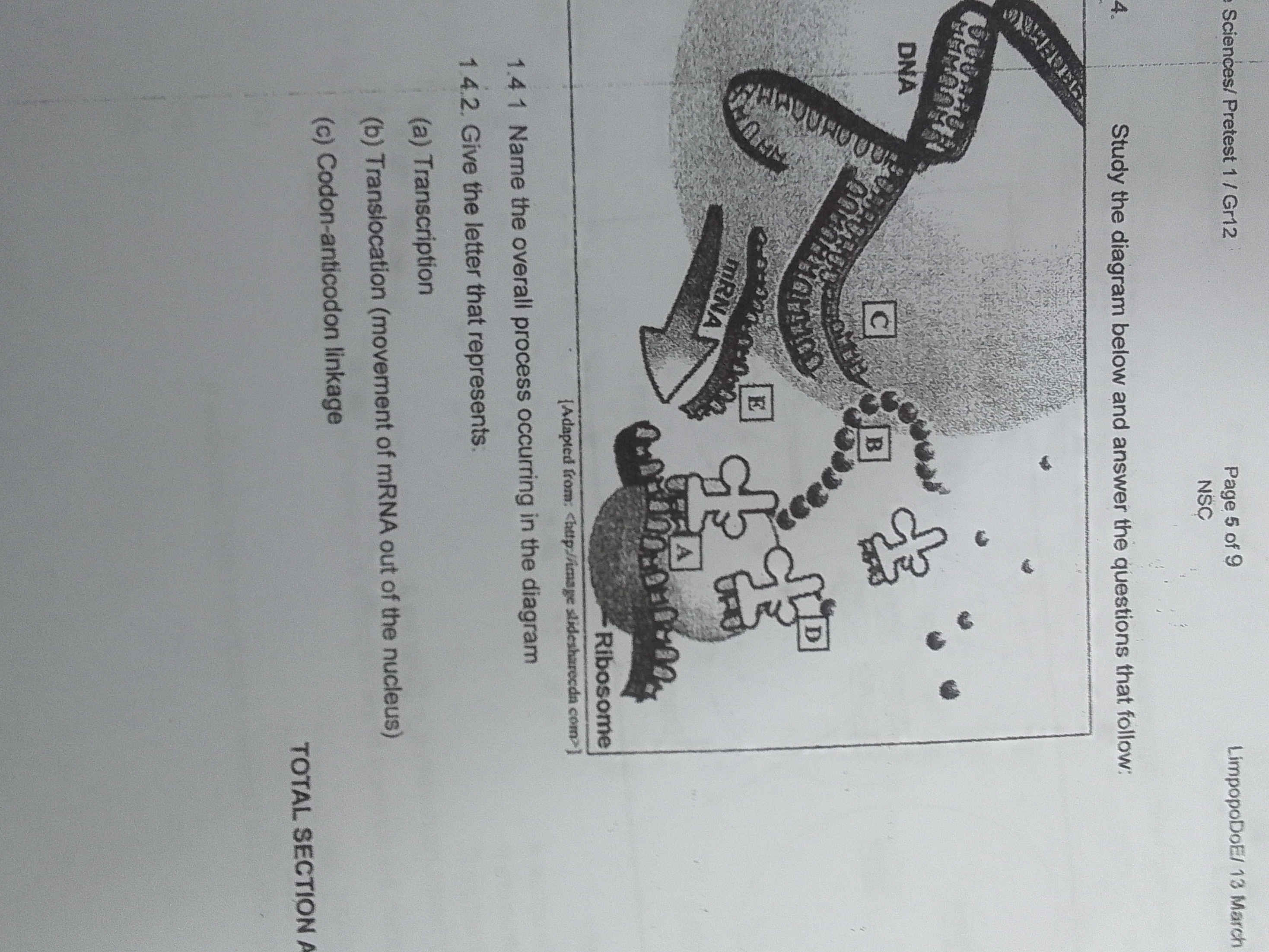 Study the diagram below and answer the | StudyX