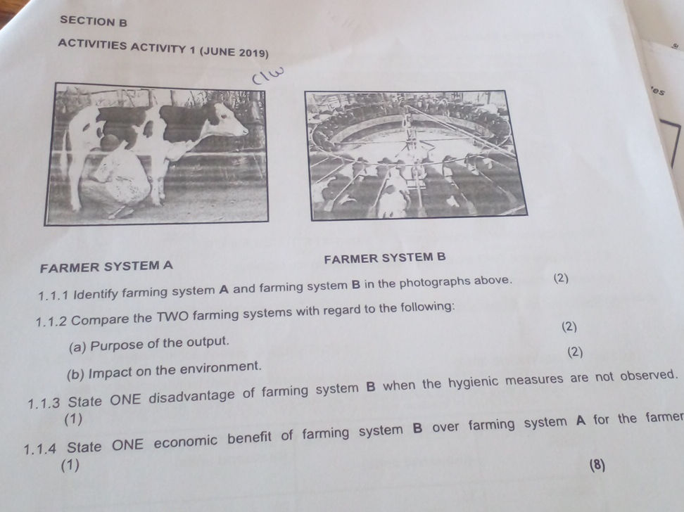 SECTION B ACTIVITIES ACTIVITY 1 (JUNE 2019) | StudyX