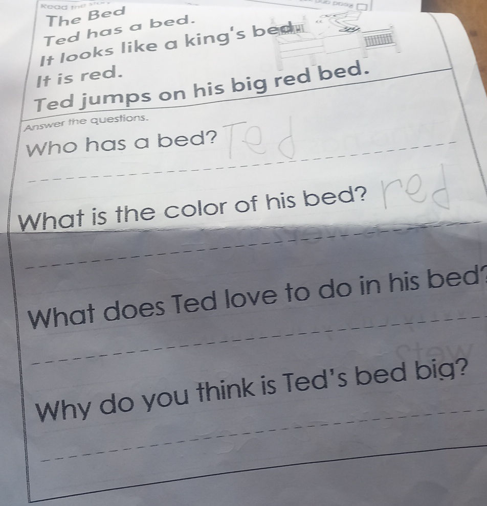 Who has a bed? Ted What is the color of his | StudyX