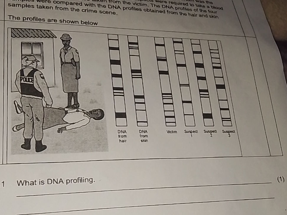 The profiles are shown below What is DNA | StudyX