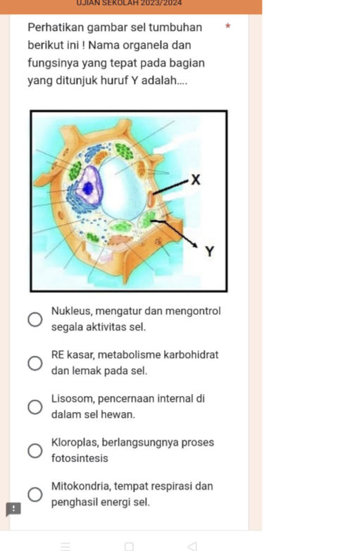 Perhatikan gambar sel tumbuhan berikut ini! | StudyX