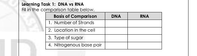 Learning Task 1: DNA vs RNA Fill in the | StudyX