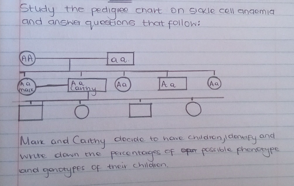 Study the pedigree chart on sickle cell StudyX