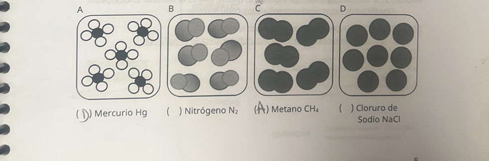 A B C D (D) Mercurio Hg () Nitrógeno N2 (A)